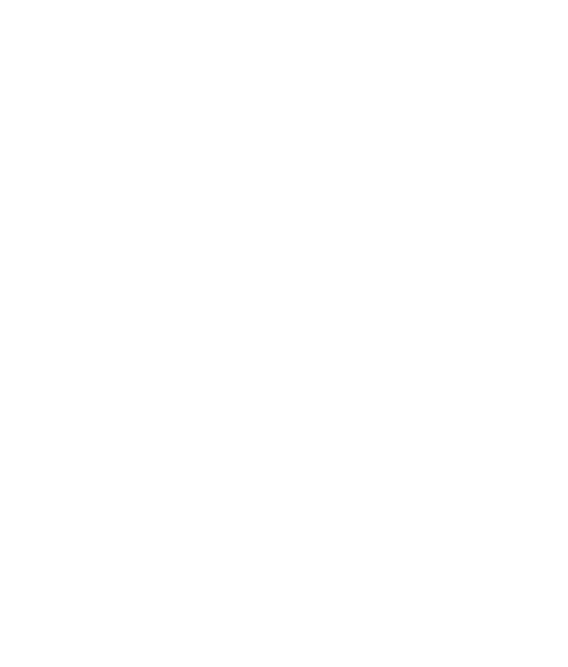 CIAO MAUSI